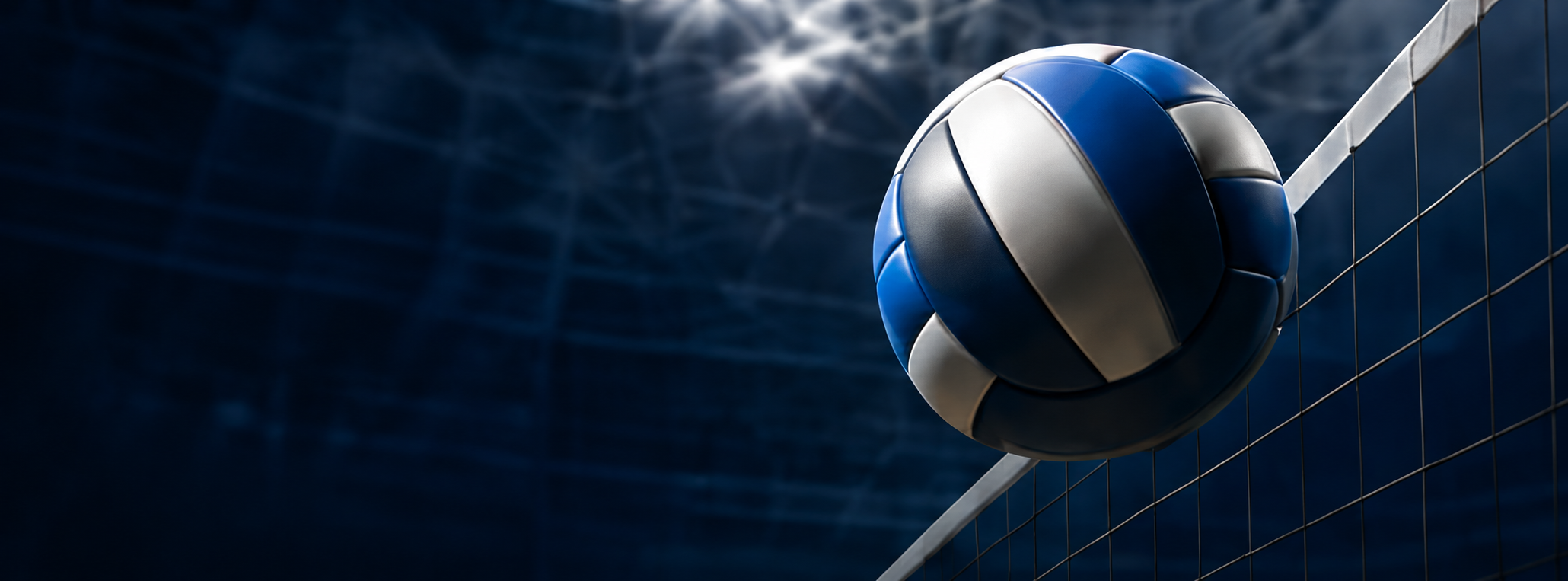 Volleyball program